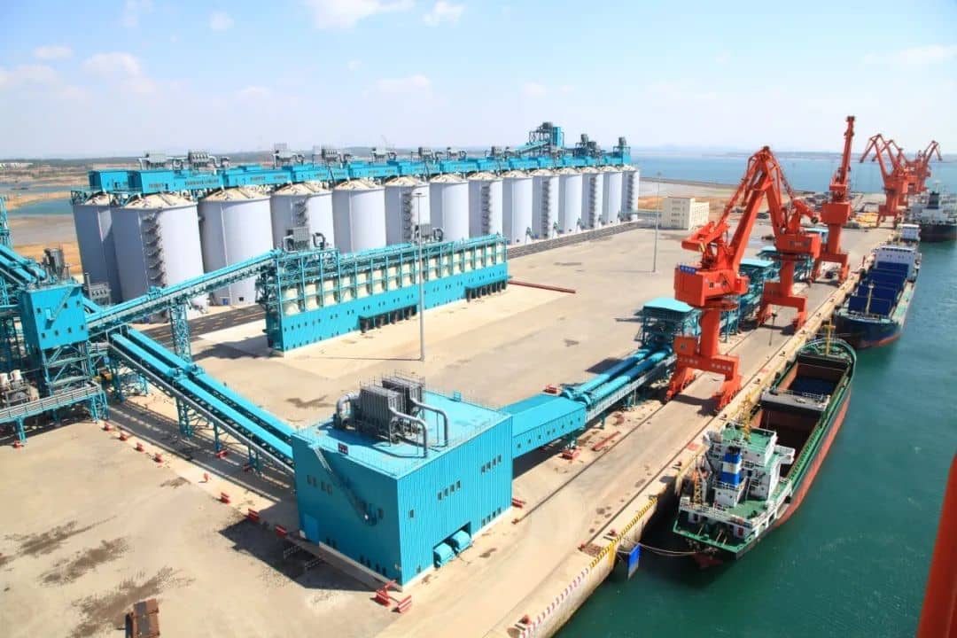 青島董家口渤海糧油_http://m.5521pk.com_未分類_第1張